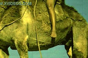 dark lantern entertainment presents women with animals