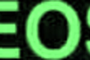 Filming Turns Into Intense Group Action