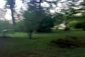 Impregnablelexa Surrenders to Wolfdaddy901's Bareback Creampie