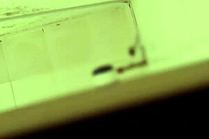 Cámara Escondida A Enfermera Del Instituto Monterrey In Public Bathroom Voyeur Encounter