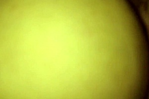 Rough bull fucks me while cuckold waits, creampies too