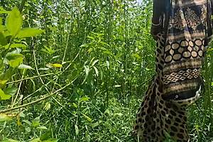 desi bhabhi getting hard fuck outdoor with anal sex and fingering 😍