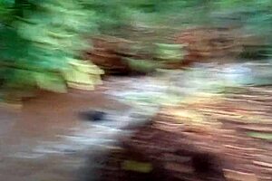 Oh, That Brazilian Latina's Tight Ass Fuck With Interracial Passion!