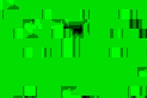 Filipina Milf Sucks Morning Wood With Passion