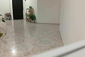 chubby neighbor cleans new apartment