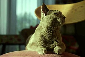 5 instant tips for premature ejaculation