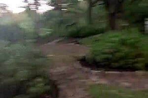 Impregnablelexa Surrenders to Wolfdaddy901's Bareback Creampie