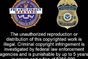 The new guinea pig - alexis grace