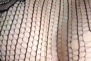 They cum on her face in intense anal session, breaking her pussy with creampie