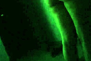 Morocha cola hermosa