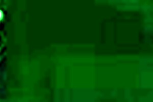 Morocha cola hermosa