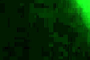 Morocha cola hermosa