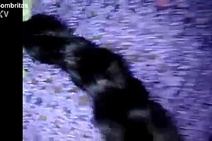 Pull aside panties, fucking the girl