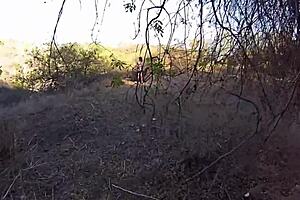 arabic prince fucks wet pussy outdoors roughly