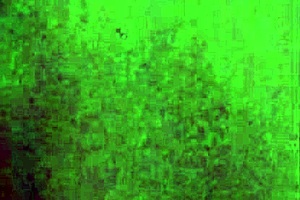 daddy beating that nut bush