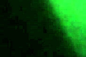 Morocha cola hermosa