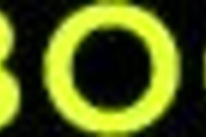 Intriguing Contrast Dana Vespoli And Oliver Flynn Final Salute