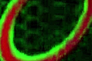 Horny sara jay fucks that huge dildo milf gets that hole loose