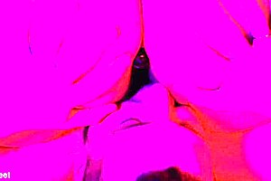 Bbw girlfriend moans during foot sex