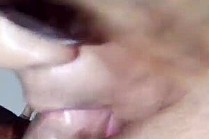 Nigarchrist - update 1376 - petal 20250610 182919 - jun 10 2025