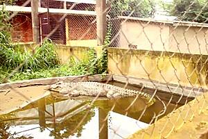 white girl caroline sweets stretched by big black cock