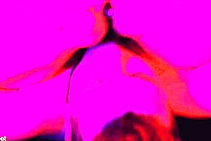 Bbw girlfriend moans during foot sex