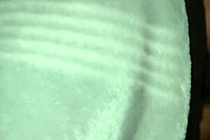 guy rubbed and fucked smooth pussy