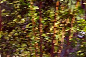 Beautiful Girl Feels Pleasure Remembering Girlfriend's Touch