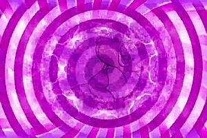 teaser for cei instructions