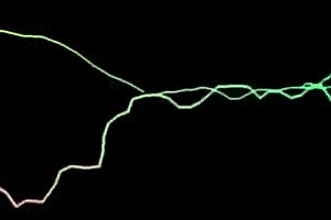 Pink-Kätzchen Angeketet Gefickt Und Besamt - Spm Amanda21 Tr38