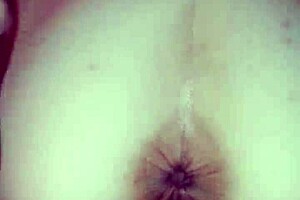 black bulls bunny ravishing ray main bunny