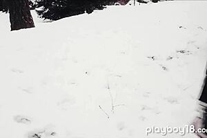 Glamorous Brunette Chick Hot Fucking With Lover