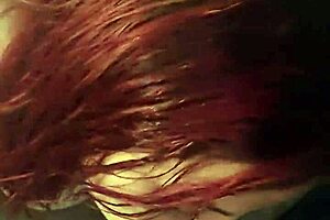 black bulls bunny ravishing ray main bunny