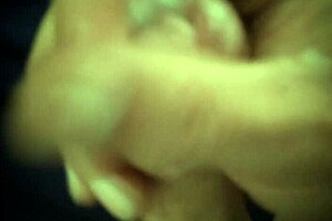 Morning Masturbation Leads to Work