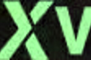 She Likes Being Grabbed By The Hair In Action