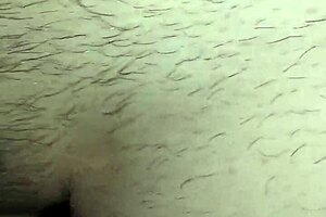 Look at that hairy pussy! Italian MILF shows off in homemade video!