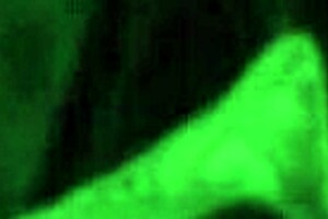 BB19 USA: Mark and Elena's intriguing handjob