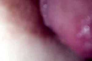 Nipple Full Of Saliva And Glans