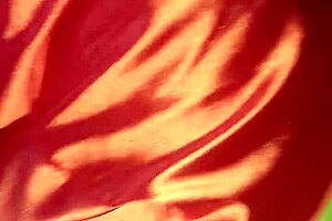 Gatita Mamando Y Montando La Verga