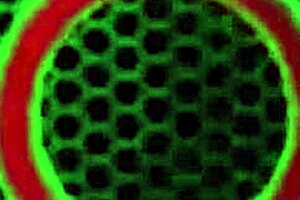 lesbian kissing jenna foxx maggie