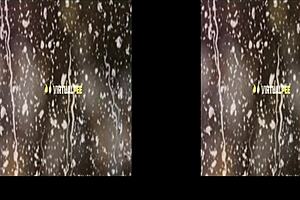 virtualpee - dildo loving brunette splashes herself with piss