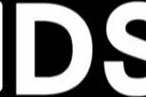 Modelmedia Asia - Sex Jail-Euro Cup Female Fan