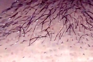 hot indian couple having sex after party