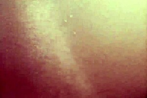 Big bottom bush hot afternoon