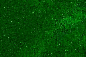 crazy chick pees panties on public beach then sunbathes wet