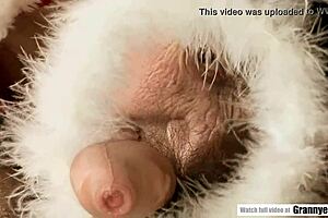 Old Hairy Pussy Fucked By Young Stud In European Comic