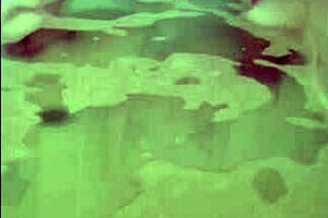 Solo Bath Horny Orgasm!