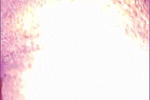 She Pees Then I Lick Her Dry