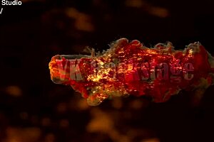 Berta's Cute Ass Takes Big Cock