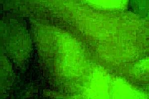 Sexy time with blowjob, fucking, licking, and sucking